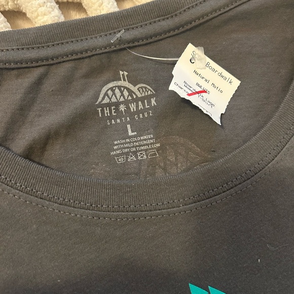 FREE WITH BUNDLE Santa Cruz Gray Tee with Teal Print - Picture 5 of 6